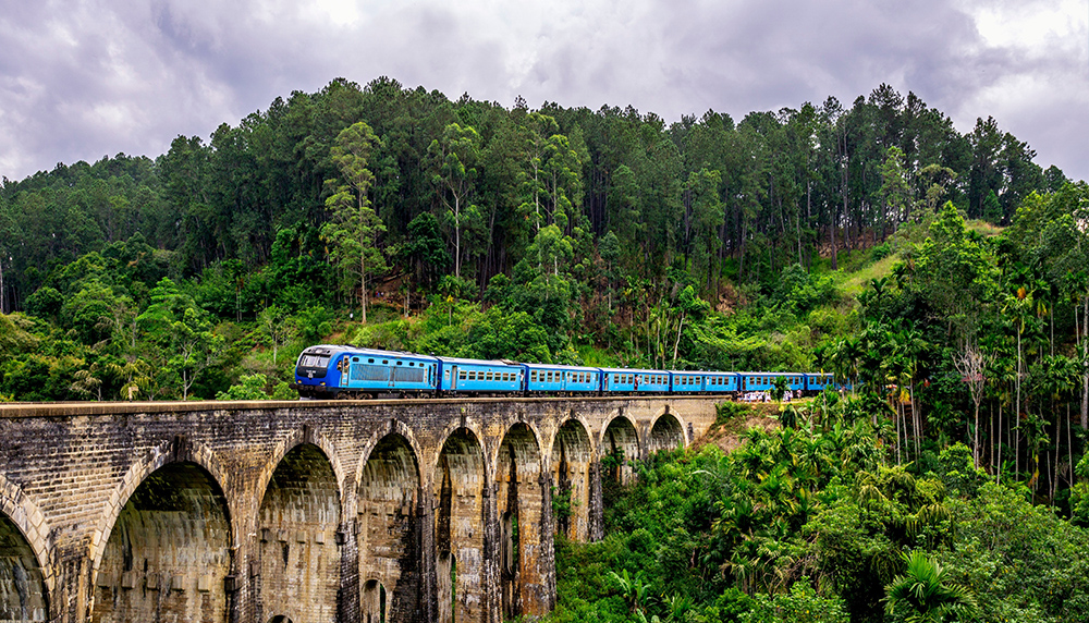 スリランカ旅行 ヌワラエリヤ高原